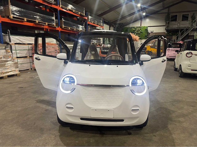 2026 brommobiel elektrisch (45 km/h) - afbeelding 15 van  29