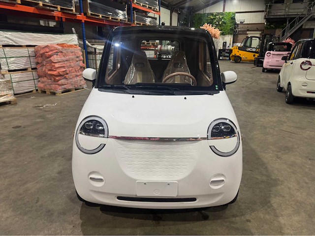 2026 brommobiel elektrisch (45 km/h) - afbeelding 28 van  29