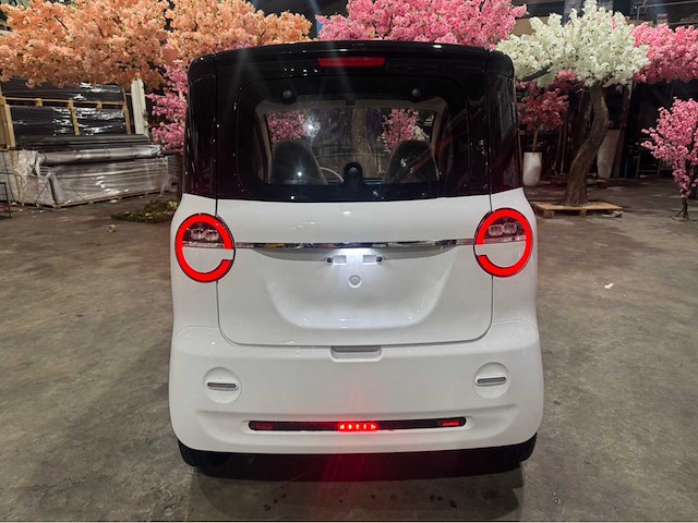 2026 brommobiel elektrisch (45 km/h) - afbeelding 6 van  30