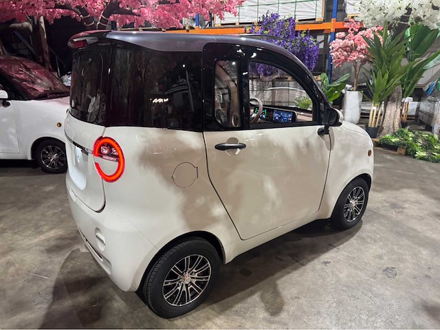 2026 brommobiel elektrisch (45 km/h) - afbeelding 36 van  42