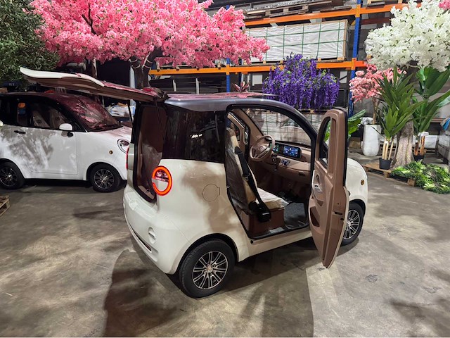 2026 brommobiel elektrisch (45 km/h) - afbeelding 22 van  42