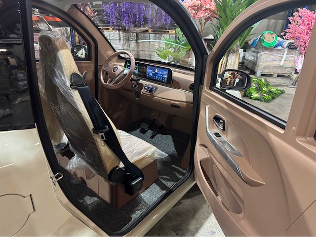 2026 brommobiel elektrisch (45 km/h) - afbeelding 25 van  42