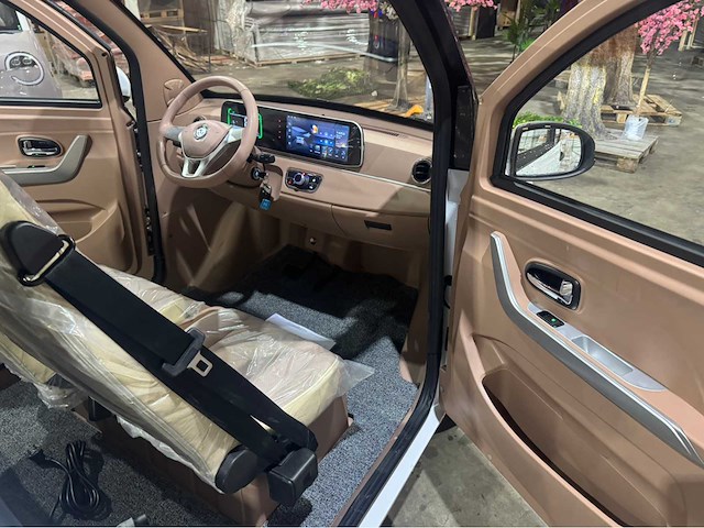 2026 brommobiel elektrisch (45 km/h) - afbeelding 17 van  30