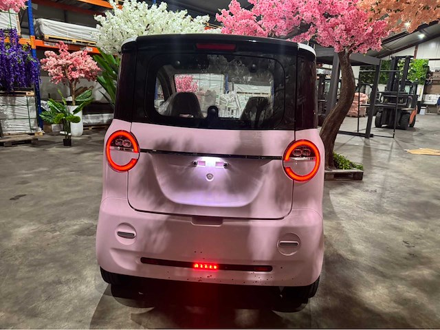 2026 brommobiel elektrisch (45 km/h) - afbeelding 8 van  8