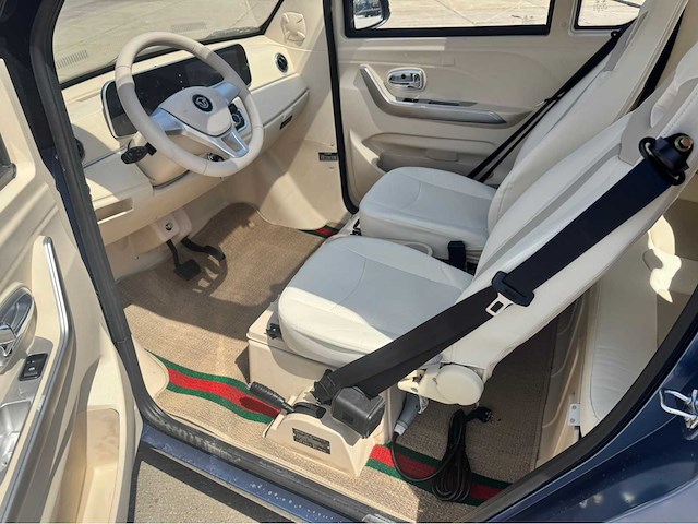 2026 brommobiel elektrisch (45 km/h) - afbeelding 20 van  42