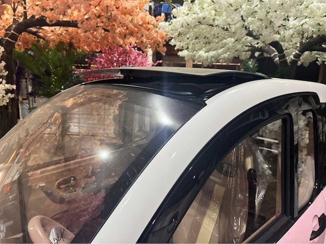 2026 brommobiel elektrisch (45 km/h) - afbeelding 9 van  23
