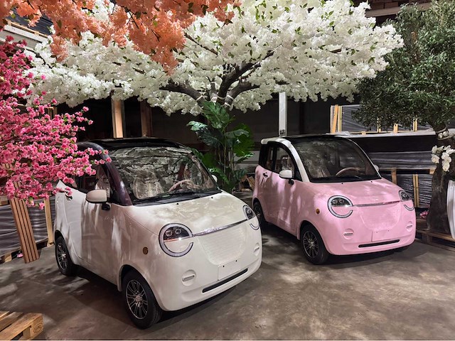 2026 brommobiel elektrisch (45 km/h) - afbeelding 8 van  23