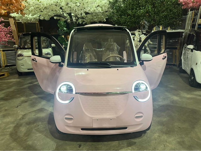2026 brommobiel elektrisch (45 km/h) - afbeelding 16 van  23