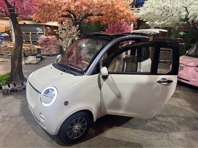 2026 brommobiel elektrisch (45 km/h) - afbeelding 2 van  28