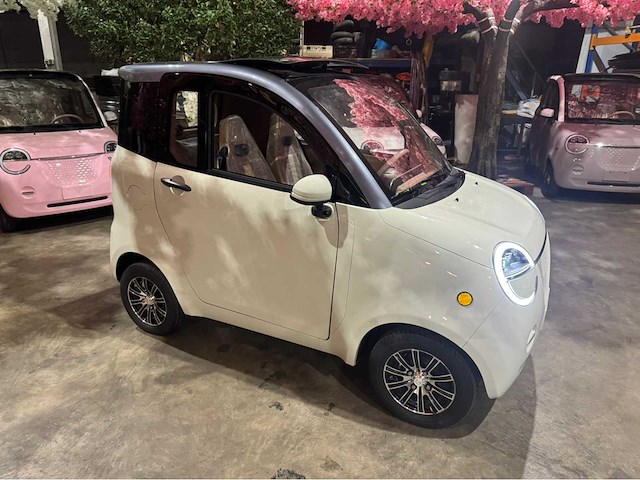 2026 brommobiel elektrisch (45 km/h) - afbeelding 1 van  28