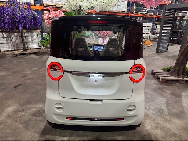 2026 brommobiel elektrisch (45 km/h) - afbeelding 23 van  28