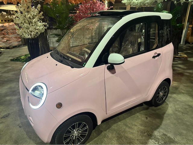2026 brommobiel elektrisch (45 km/h) - afbeelding 13 van  46