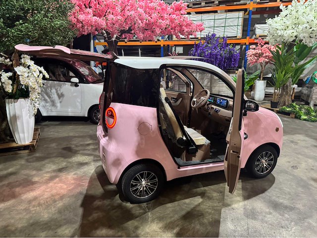 2026 brommobiel elektrisch (45 km/h) - afbeelding 16 van  46