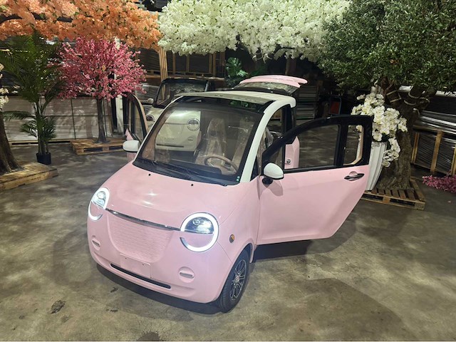 2026 brommobiel elektrisch (45 km/h) - afbeelding 25 van  46