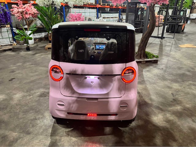 2026 brommobiel elektrisch (45 km/h) - afbeelding 45 van  46