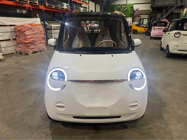 2026 brommobiel elektrisch (45 km/h) - afbeelding 30 van  34