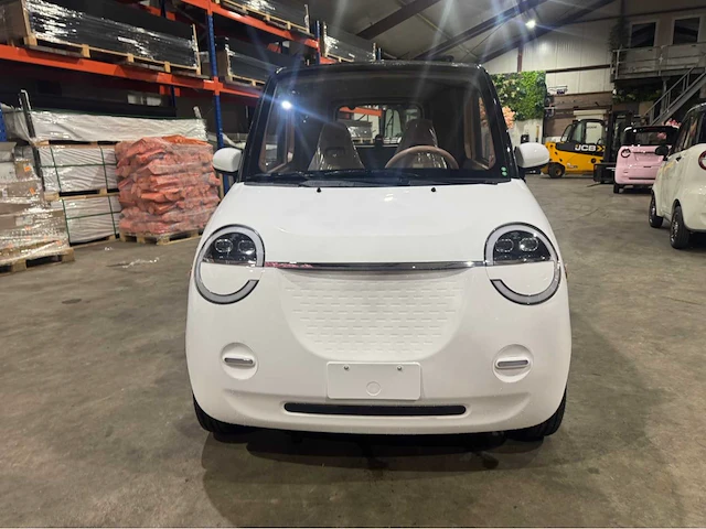 2026 brommobiel elektrisch (45 km/h) - afbeelding 33 van  34