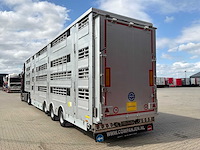 2026 pezzaioli sba31/g vee transporteur “3 lagen” - afbeelding 3 van  21