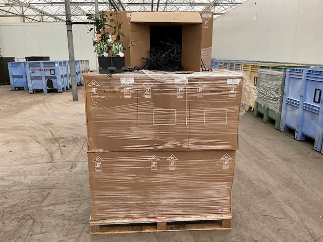 2026 sb 22 cm plant hendel (80000x) - afbeelding 4 van  5