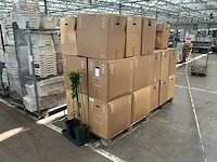 2026 sk 44 plant hendel (28000x)