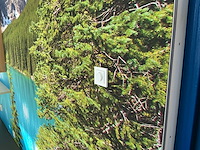 20ft kantoorunit met glazen pui - afbeelding 3 van  20