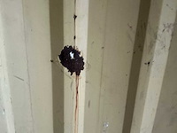 20ft materiaalcontainer - afbeelding 10 van  18