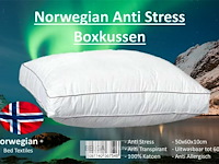 20x norwegian anti-stress boxkussen - afbeelding 1 van  1