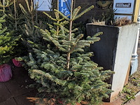 24x kerstboom in pot - afbeelding 10 van  10