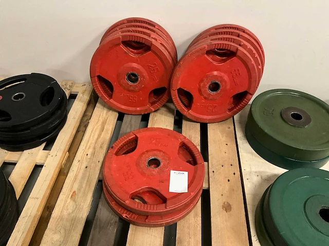 25 kg - halterschijf (4x) - afbeelding 1 van  3