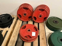 25 kg - halterschijf (4x)