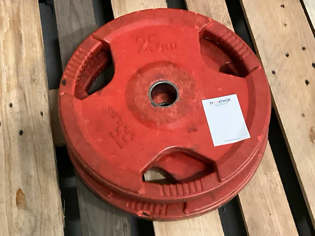 25 kg - halterschijf (4x) - afbeelding 3 van  3