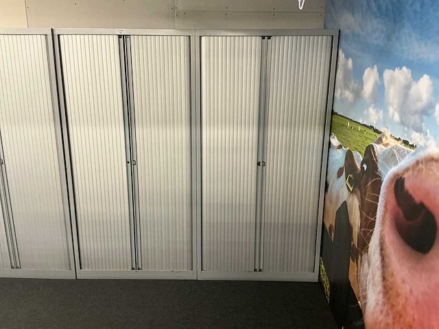 2deurs archiefkast (3x) - afbeelding 2 van  4