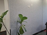 2x akoestisch paneel met 2x kantoorscherm - afbeelding 2 van  4