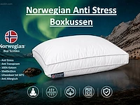(2x) anti-stress boxkussen