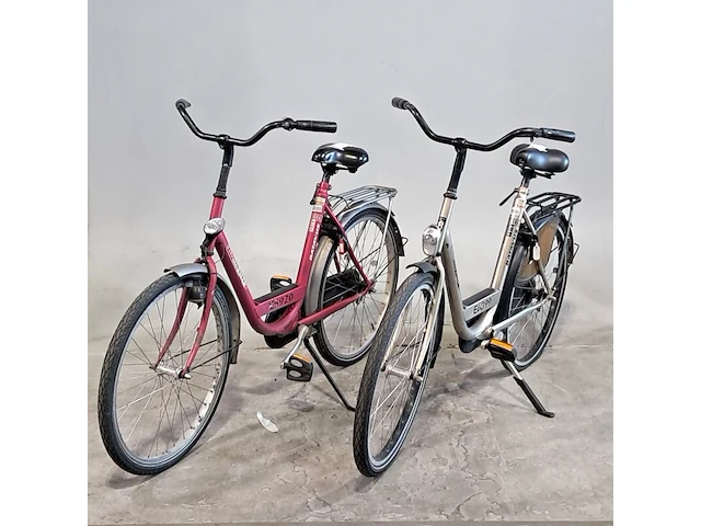 2x damesfiets, batavus, personal bike - afbeelding 1 van  15