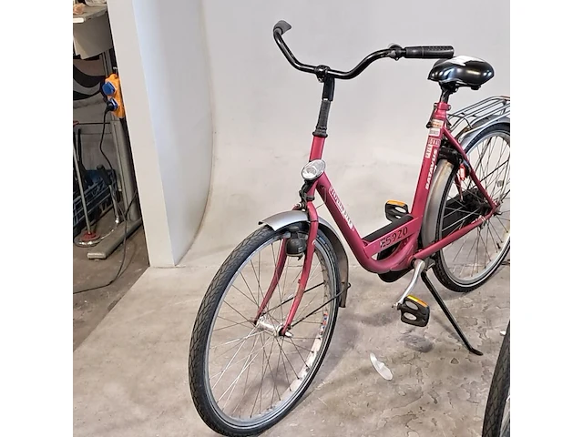 2x damesfiets, batavus, personal bike - afbeelding 14 van  15