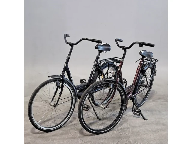 2x damesfiets, batavus, personal bike - afbeelding 1 van  14