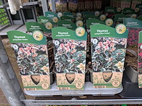 2x deense kar met diverse planten in pot - afbeelding 11 van  62