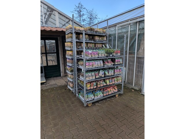 2x deense kar met diverse planten in pot - afbeelding 1 van  62