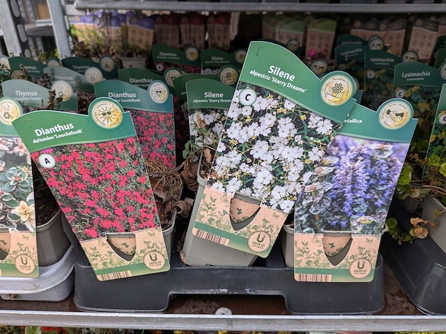 2x deense kar met diverse planten in pot - afbeelding 14 van  62