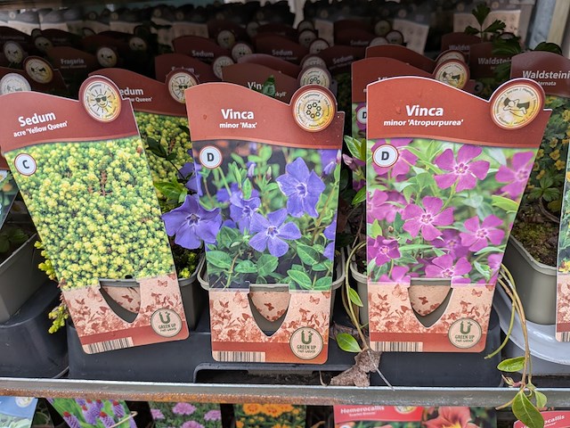 2x deense kar met diverse planten in pot - afbeelding 18 van  62