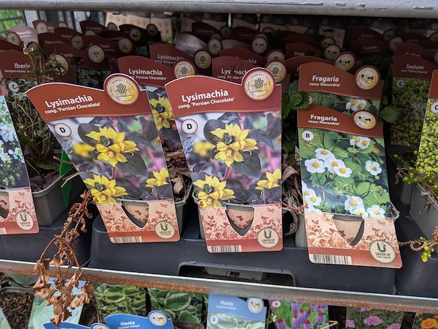 2x deense kar met diverse planten in pot - afbeelding 19 van  62