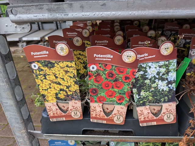 2x deense kar met diverse planten in pot - afbeelding 20 van  62