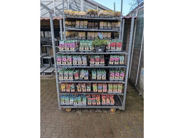 2x deense kar met diverse planten in pot - afbeelding 12 van  62