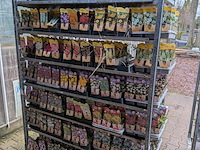 2x deense kar met diverse planten in pot - afbeelding 27 van  62