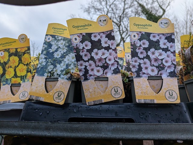 2x deense kar met diverse planten in pot - afbeelding 33 van  62