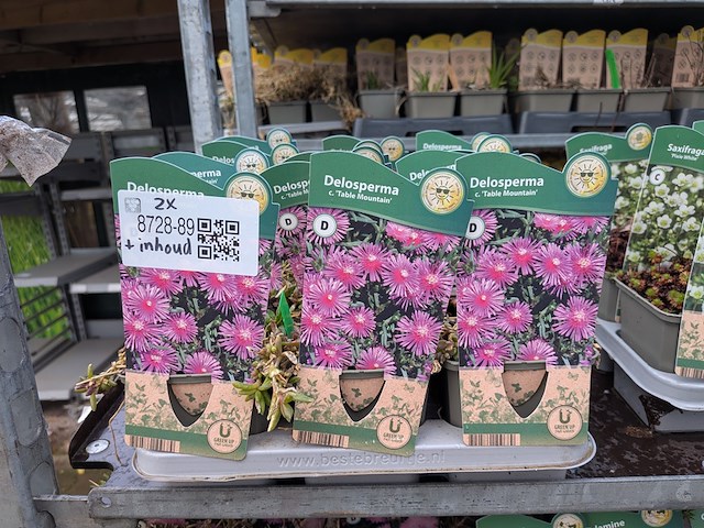 2x deense kar met diverse planten in pot - afbeelding 23 van  62