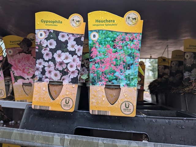 2x deense kar met diverse planten in pot - afbeelding 35 van  62