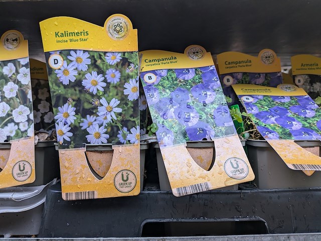 2x deense kar met diverse planten in pot - afbeelding 37 van  62