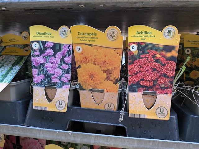 2x deense kar met diverse planten in pot - afbeelding 41 van  62